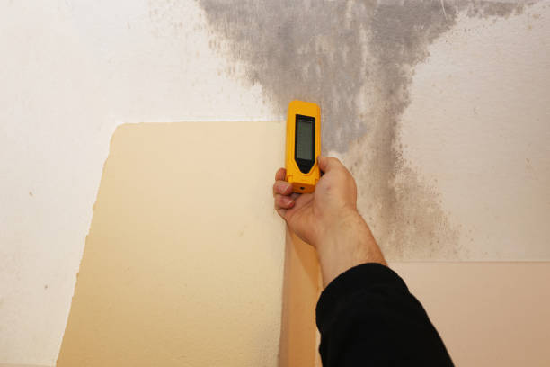 Best Mold Removal for HVAC Installations  in Youngwood, PA