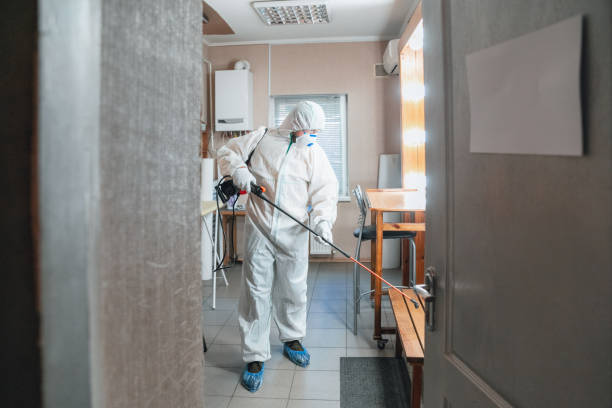 Best Asbestos and Lead Testing During Mold Inspection  in Youngwood, PA